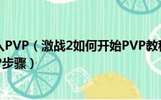  激战2战士pvp装备属性选择,激战2战士萌新攻略？