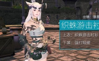  ff14 雇员 装备,ff14雇员怎么幻化？